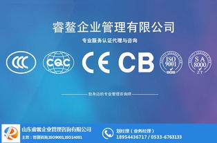 管理體系咨詢價格低 濱州管理體系咨詢 山東睿鰲企業(yè)管理公司